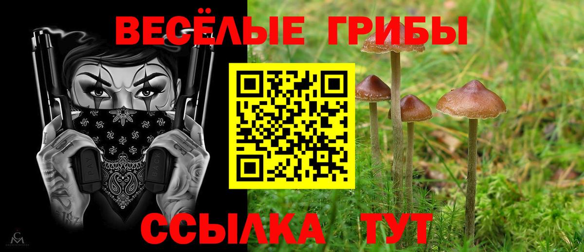 Галлюциногенные грибы Psilocybine cubensis  купить   Прокопьевск  Вход с VPN 