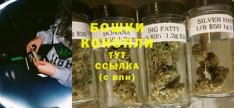 где можно купить   darknet телеграм  Канабис SATIVA & INDICA  Прокопьевск 