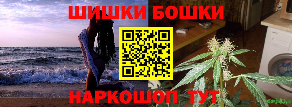 Шишки марихуана план Прокопьевск